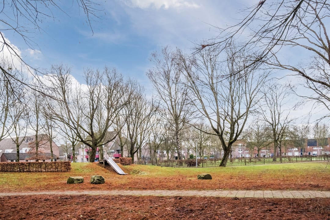 Foto 38 van Schapendries 9