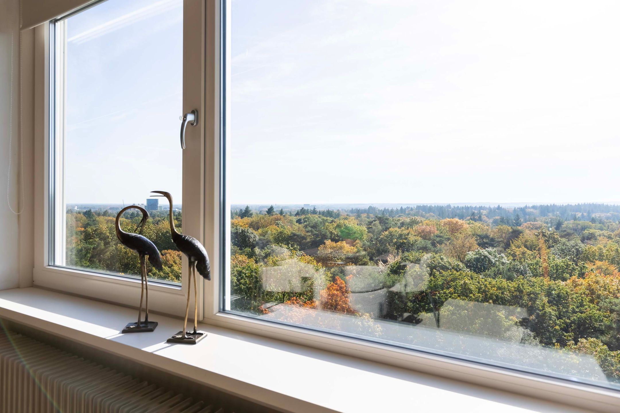 Foto 3 van Soerenseweg 125-102