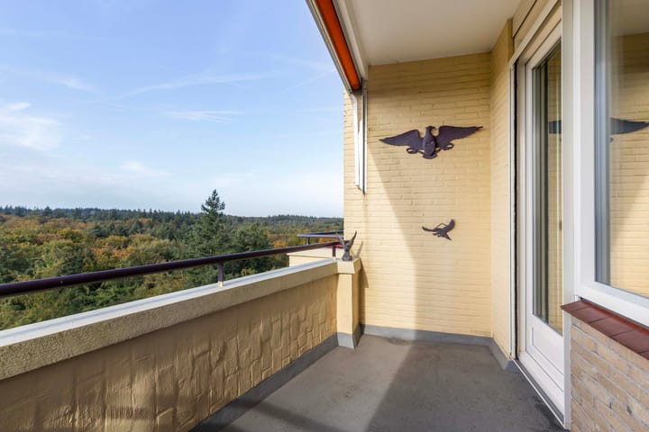 Foto 12 van Soerenseweg 125-102