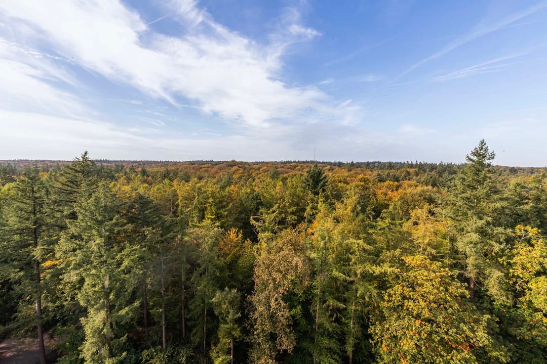 Foto 13 van Soerenseweg 125-102