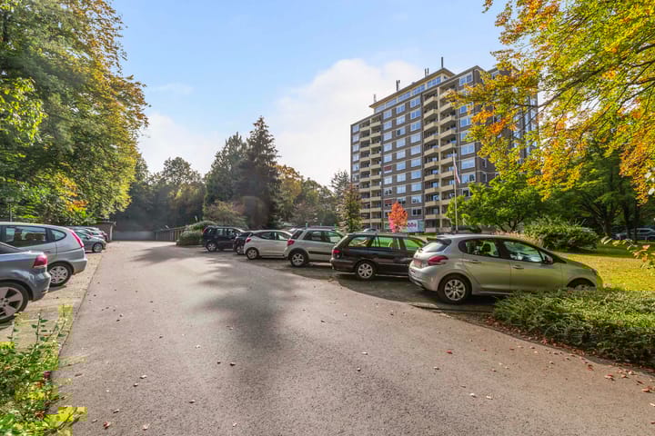 Foto 20 van Soerenseweg 125-102