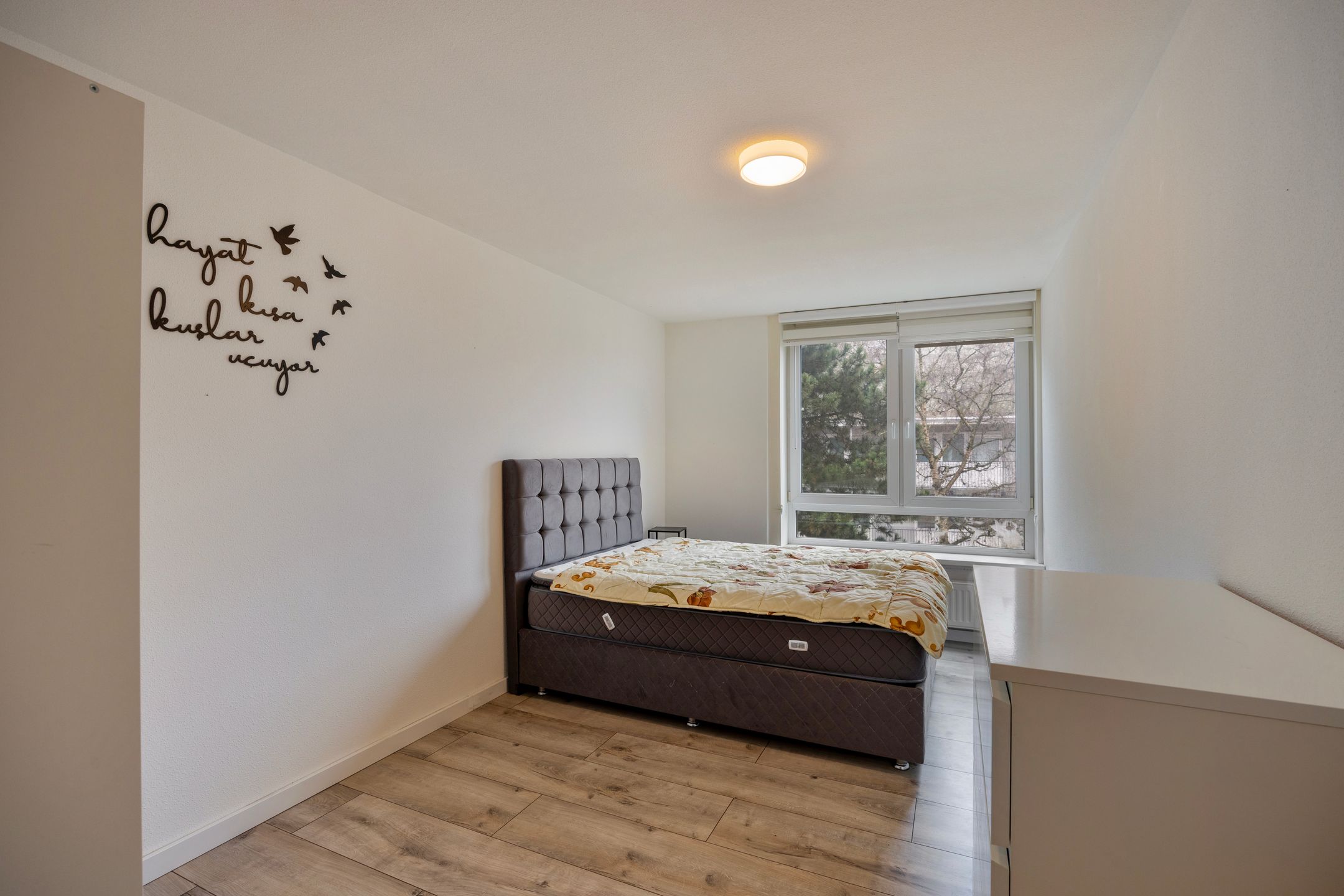 Foto 12 van Cannemanstraat 87