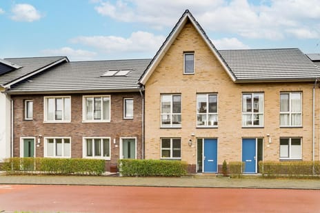 undefined main image