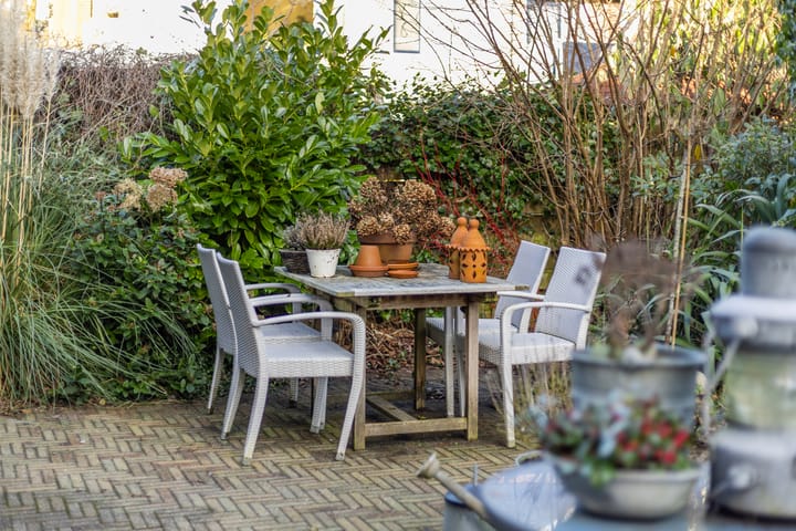 Foto 14 van de Vang 1