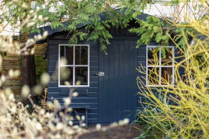 Foto 45 van de Vang 1