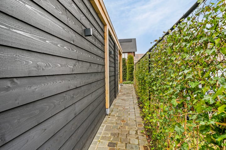 Foto 45 van Cathelijn Badenstraat 6