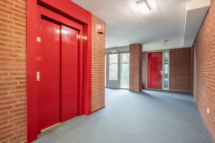 Foto 7 van Insula 95