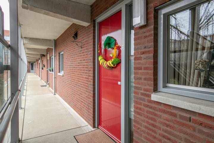 Foto 8 van Insula 95