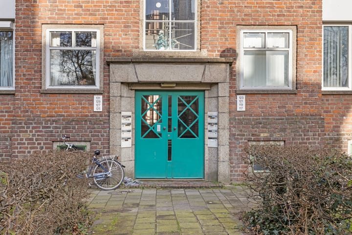 Foto 27 van Nassaustraat 129