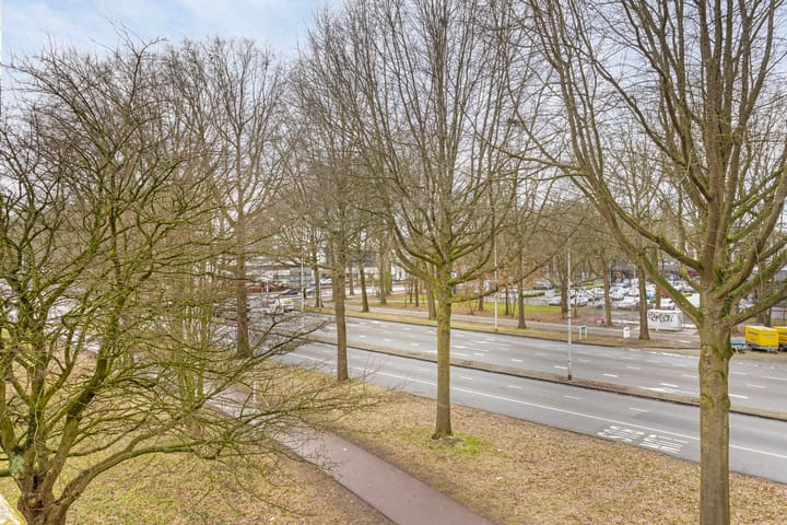 Foto 23 van Nassaustraat 129