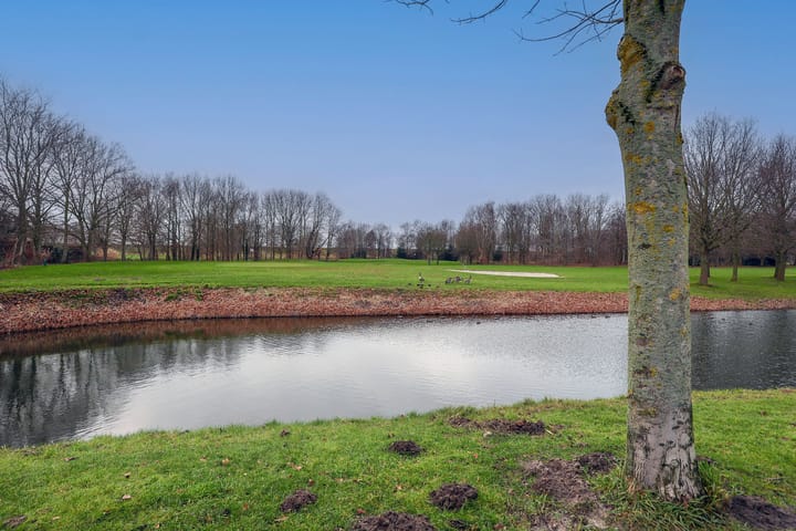 Foto 49 van Birdielaan 62