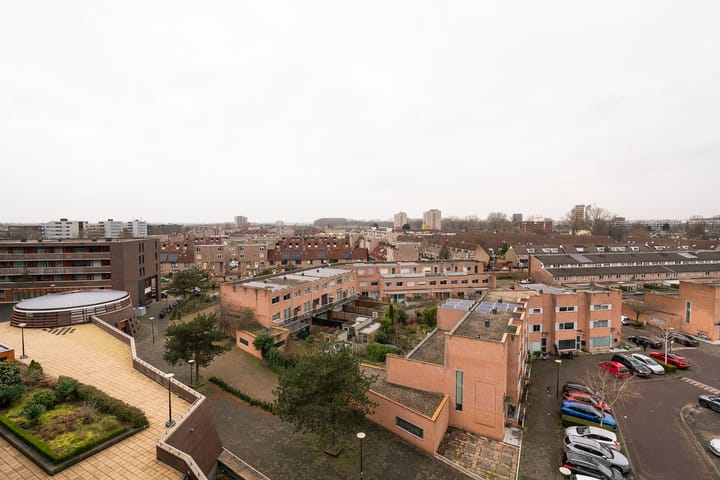 Foto 8 van Pieter Calandlaan 606