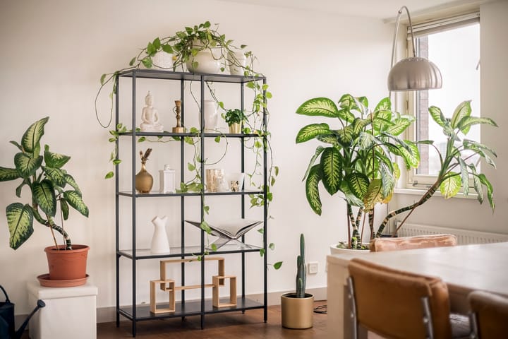 Foto 17 van Pieter Calandlaan 606