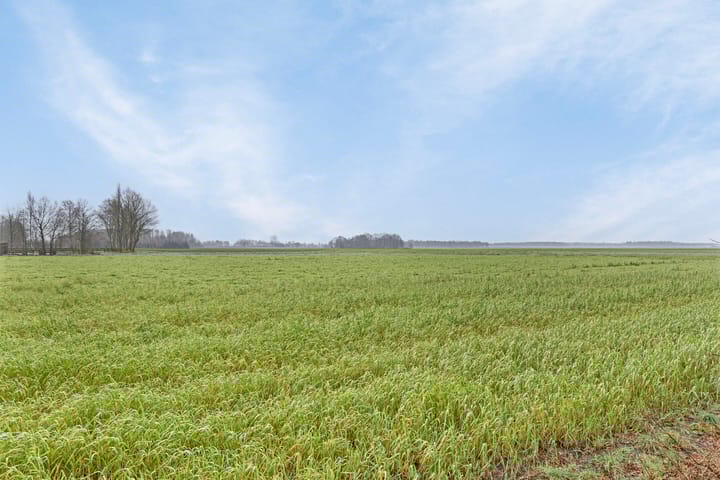 Foto 40 van Zonnedauw 64