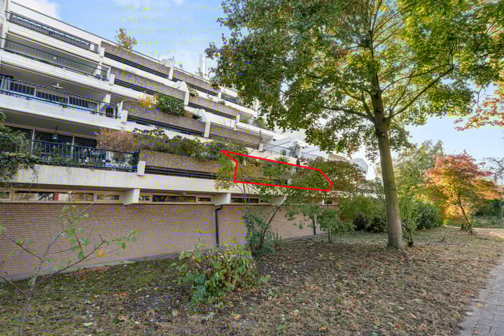 Foto 1 van Wildforster 155