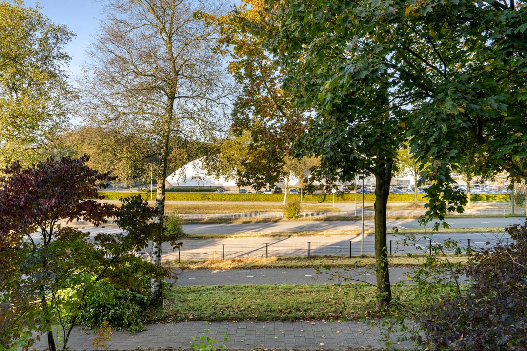 Foto 11 van Wildforster 155