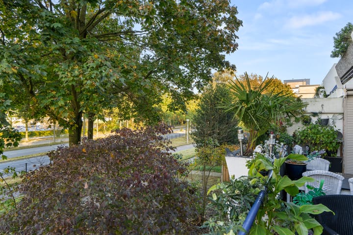 Foto 12 van Wildforster 155