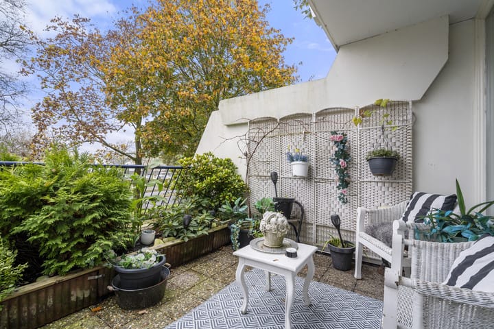 Foto 16 van Wildforster 155