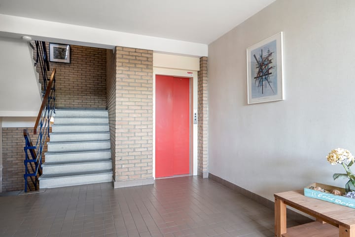 Foto 27 van Wildforster 155