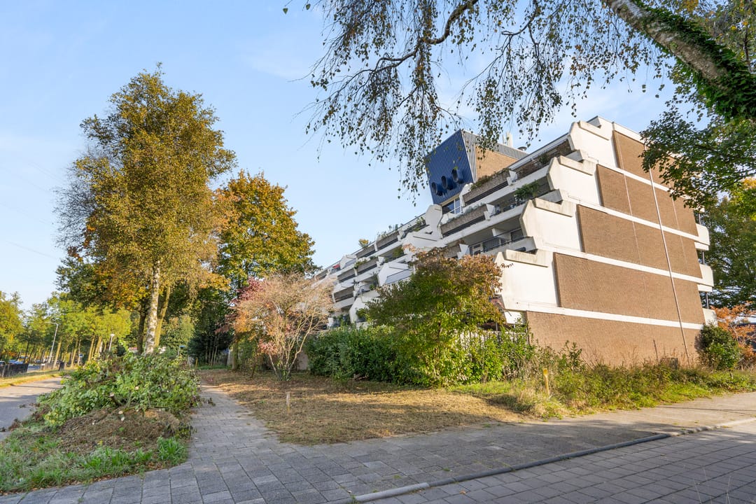 Foto 32 van Wildforster 155