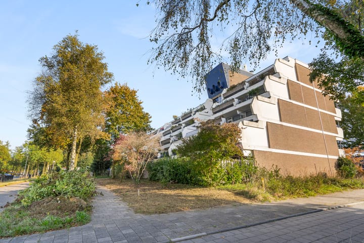 Foto 32 van Wildforster 155