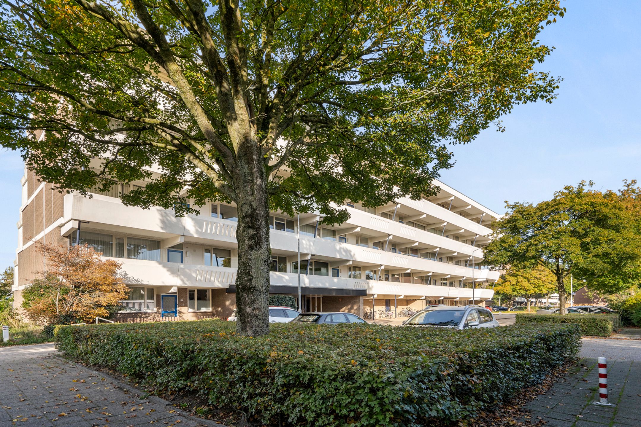 Foto 33 van Wildforster 155