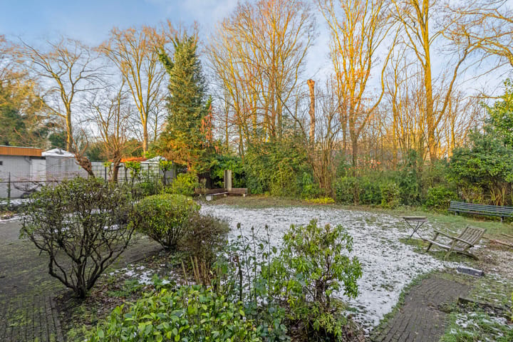 Foto 20 van Erasmuslaan 10