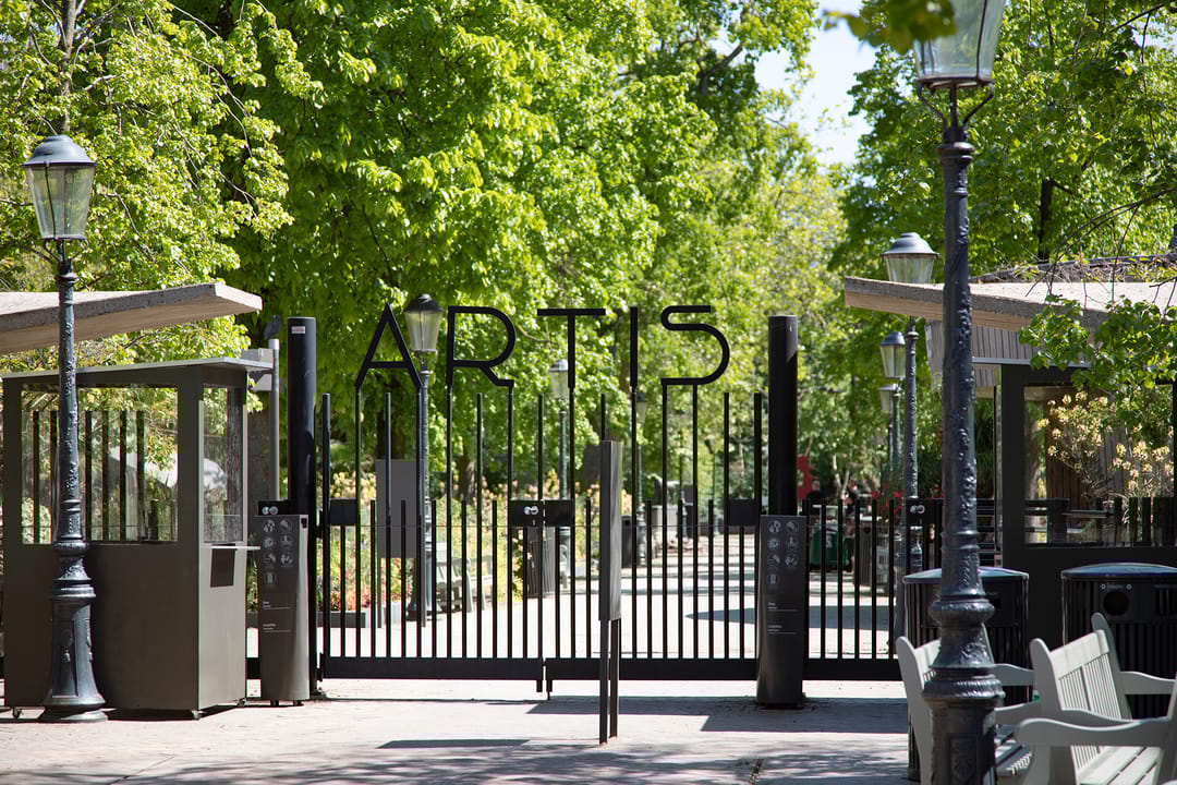 Photo 31 of Wagenaarstraat 28-F