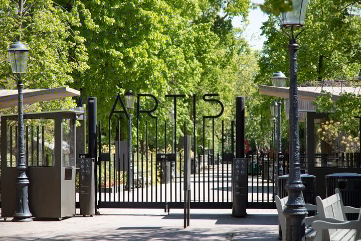 Foto 31 van Wagenaarstraat 28-F