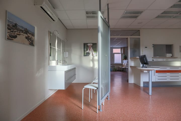 Foto 12 van Frieseweid 37