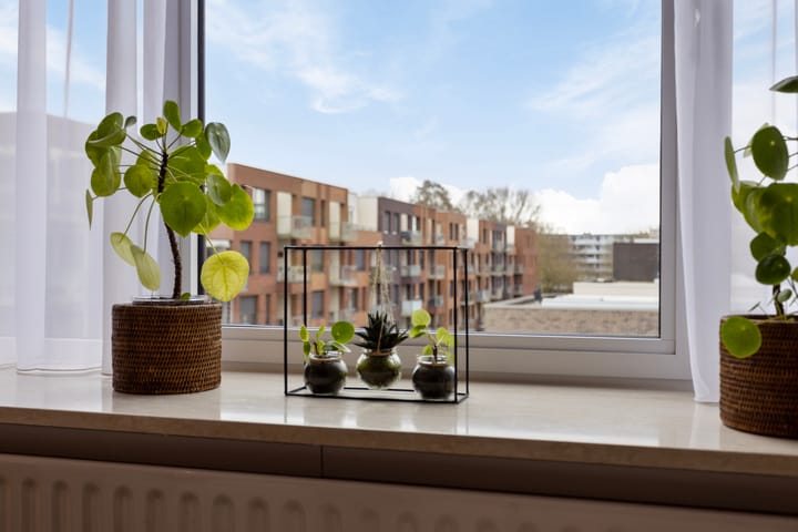 Foto 14 van Schrijverspark 59