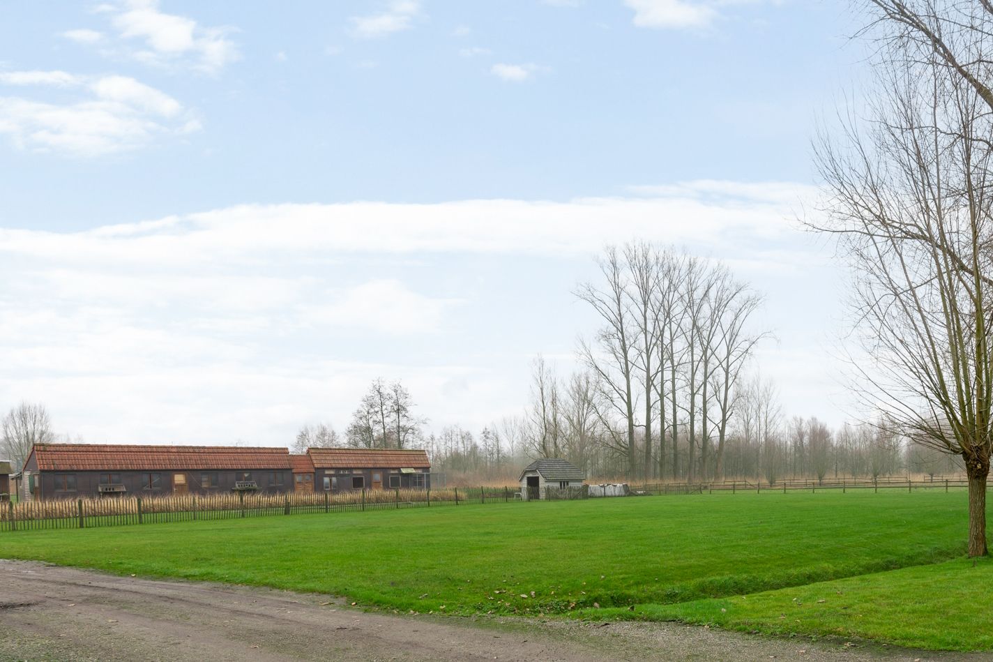 Foto 9 van Gelmelstraat 121