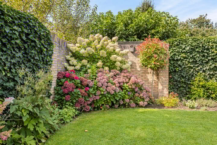 Foto 34 van Ovito 14