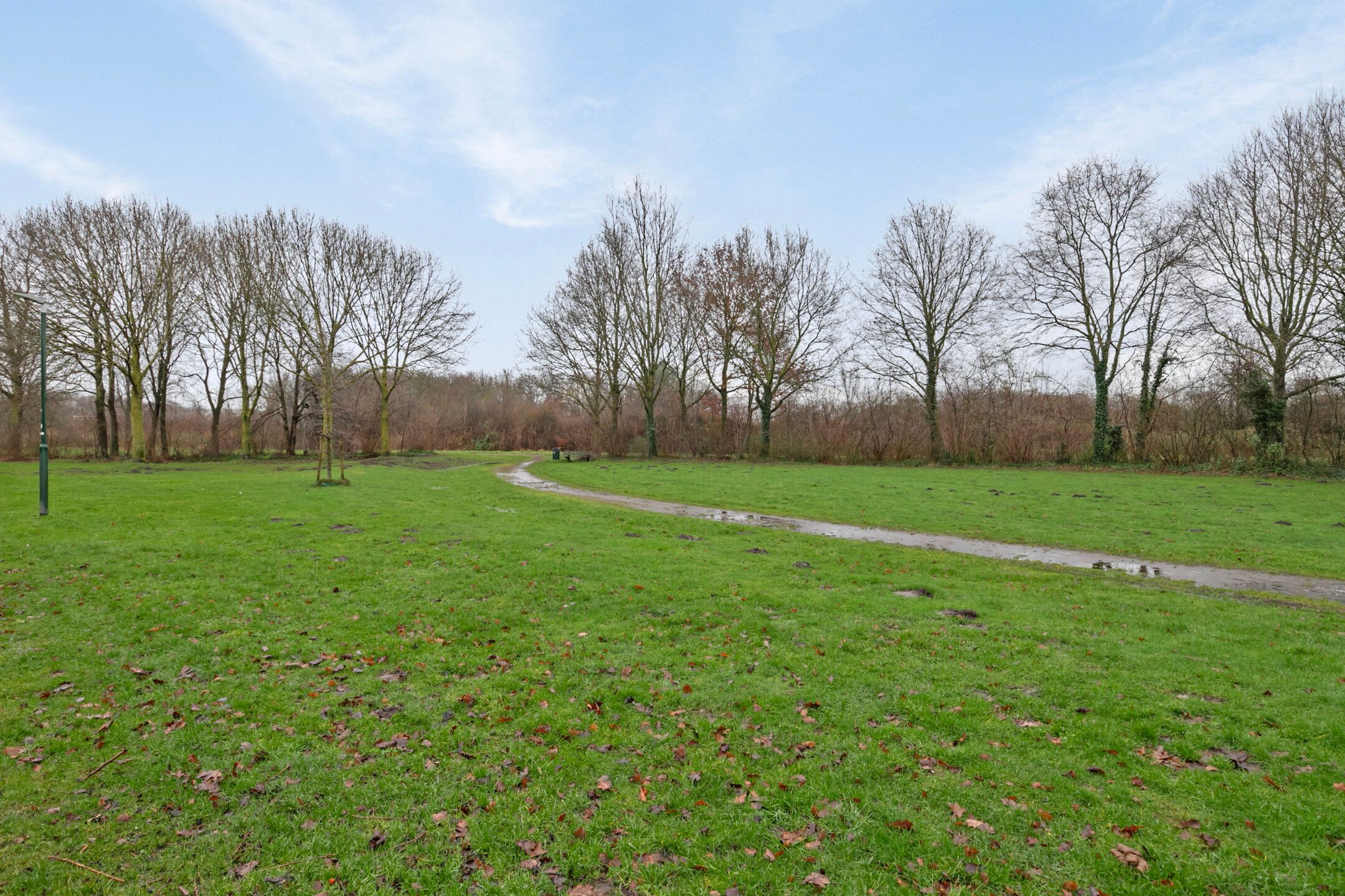 Photo 36 of Fresiahof 12