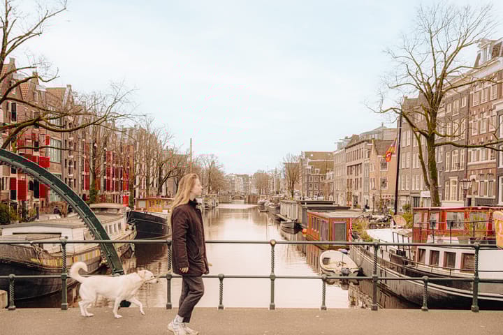 Photo 25 of Willemsstraat 14-C