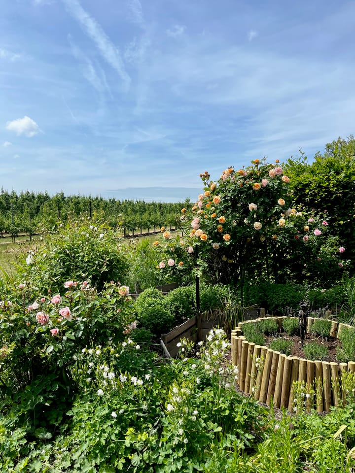 Foto 44 van Hooglandsedijk 1