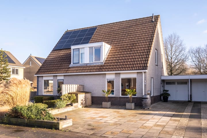 Foto 1 van Pinksterbloem 30