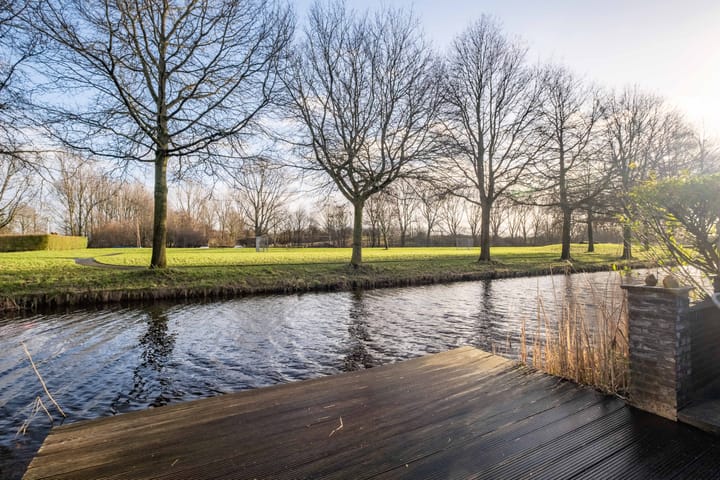 Foto 4 van Pinksterbloem 30