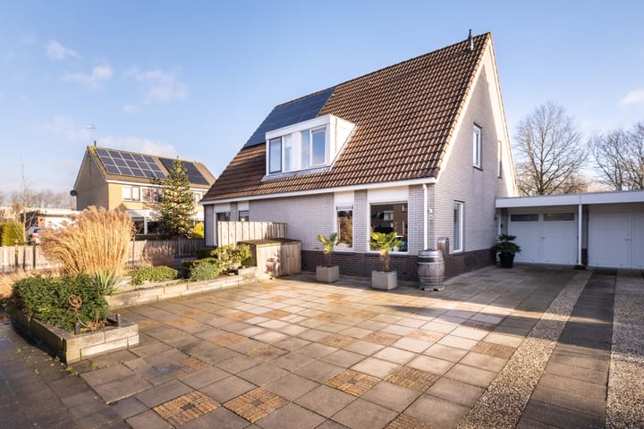 Foto 7 van Pinksterbloem 30