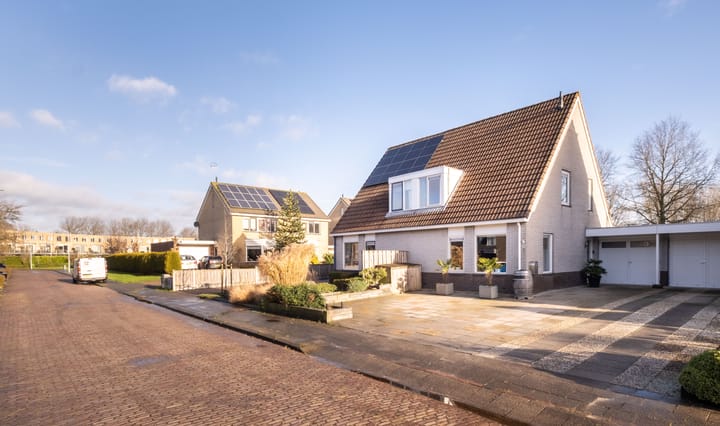 Foto 8 van Pinksterbloem 30