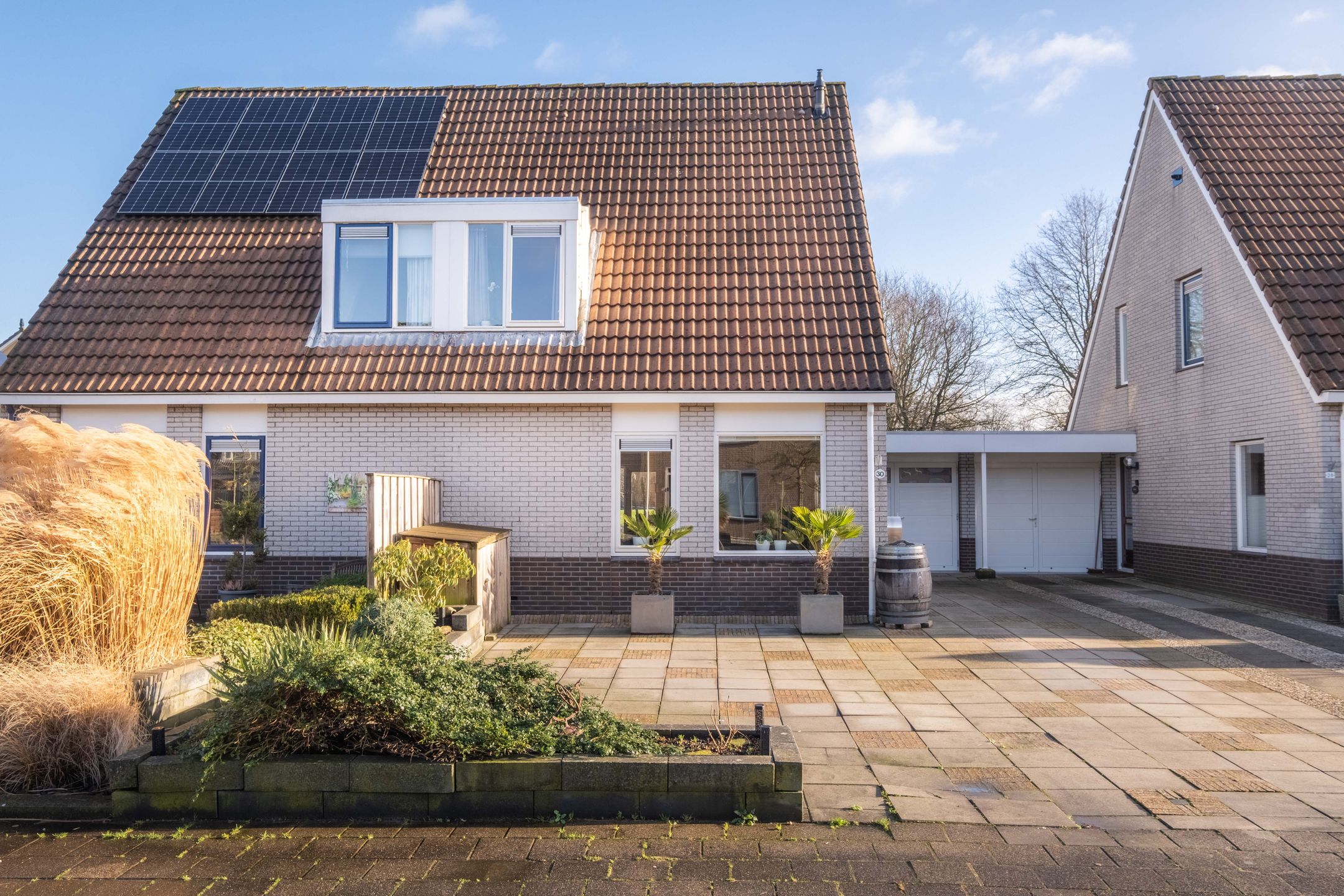 Foto 9 van Pinksterbloem 30