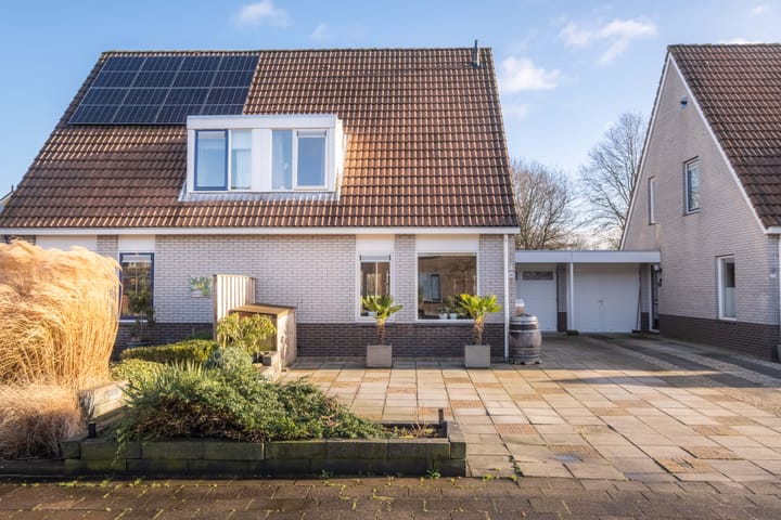 Foto 9 van Pinksterbloem 30