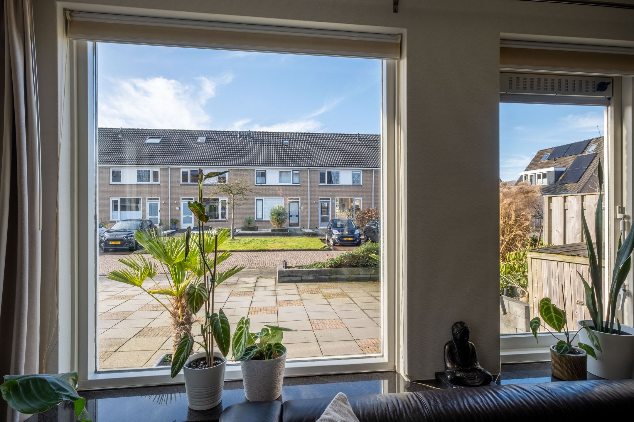 Foto 21 van Pinksterbloem 30