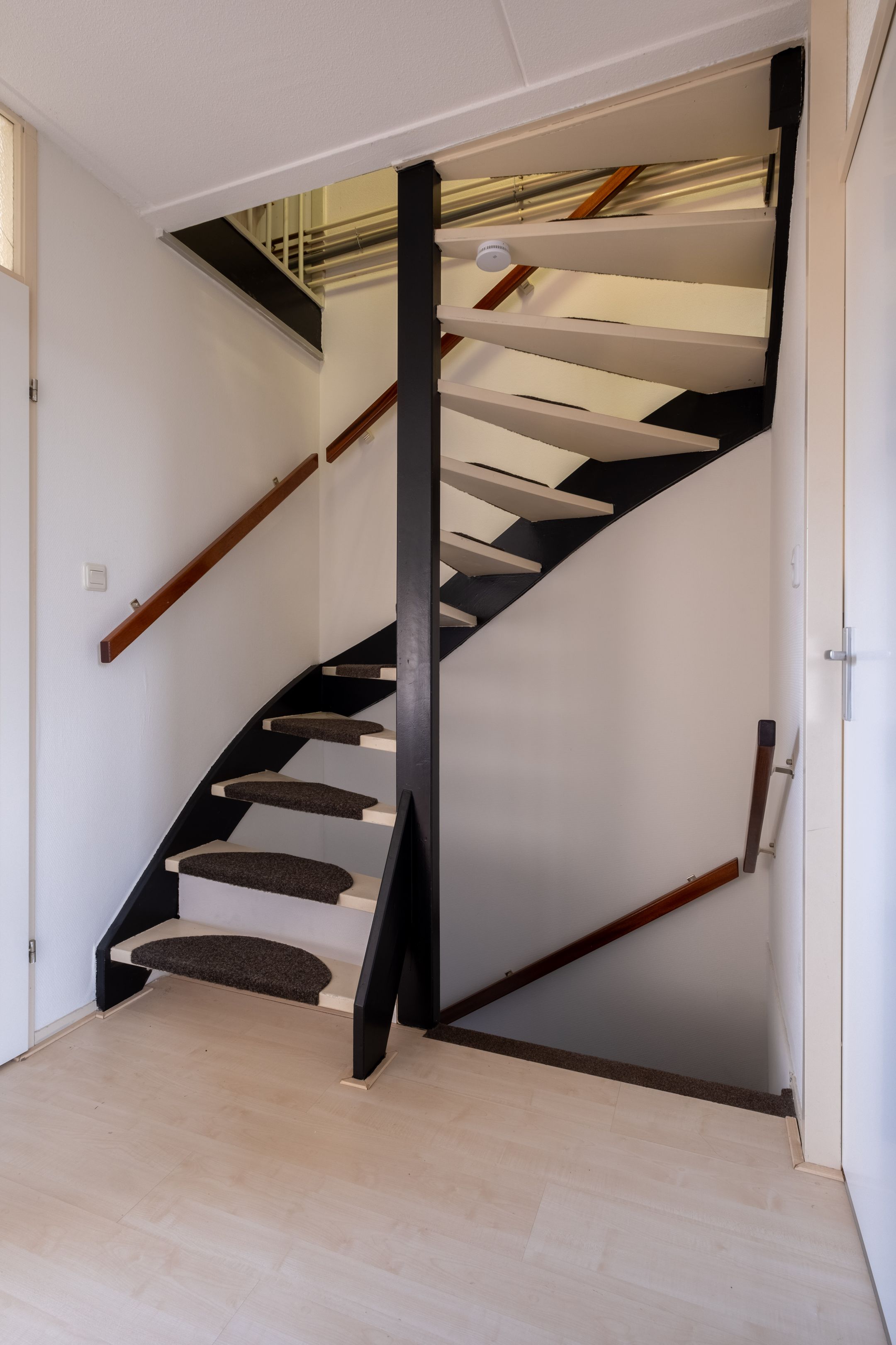 Foto 33 van Pinksterbloem 30