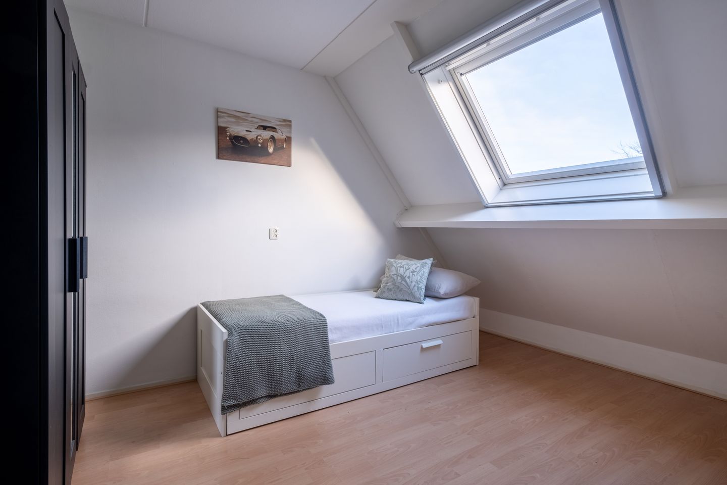 Foto 34 van Pinksterbloem 30