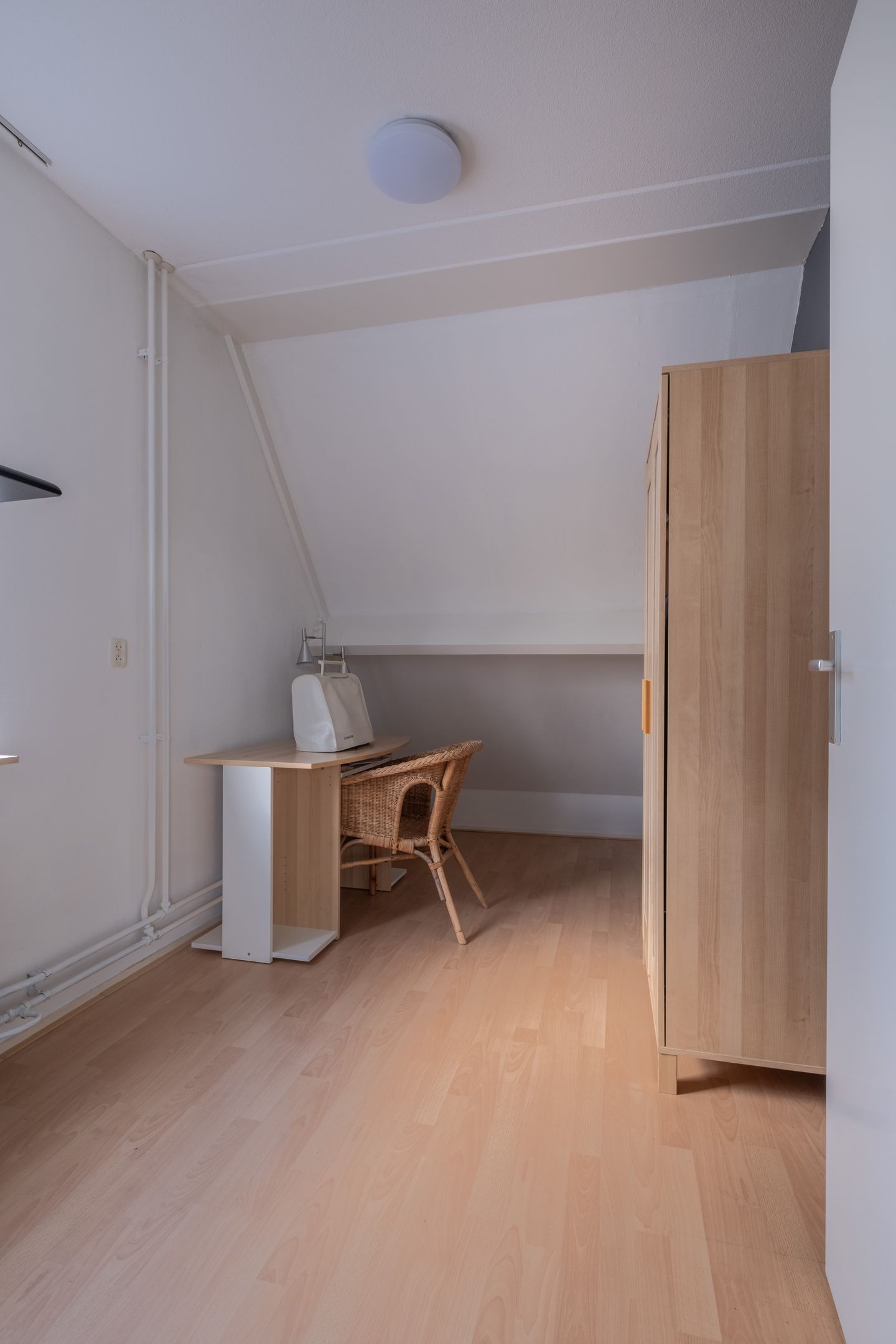 Foto 44 van Pinksterbloem 30