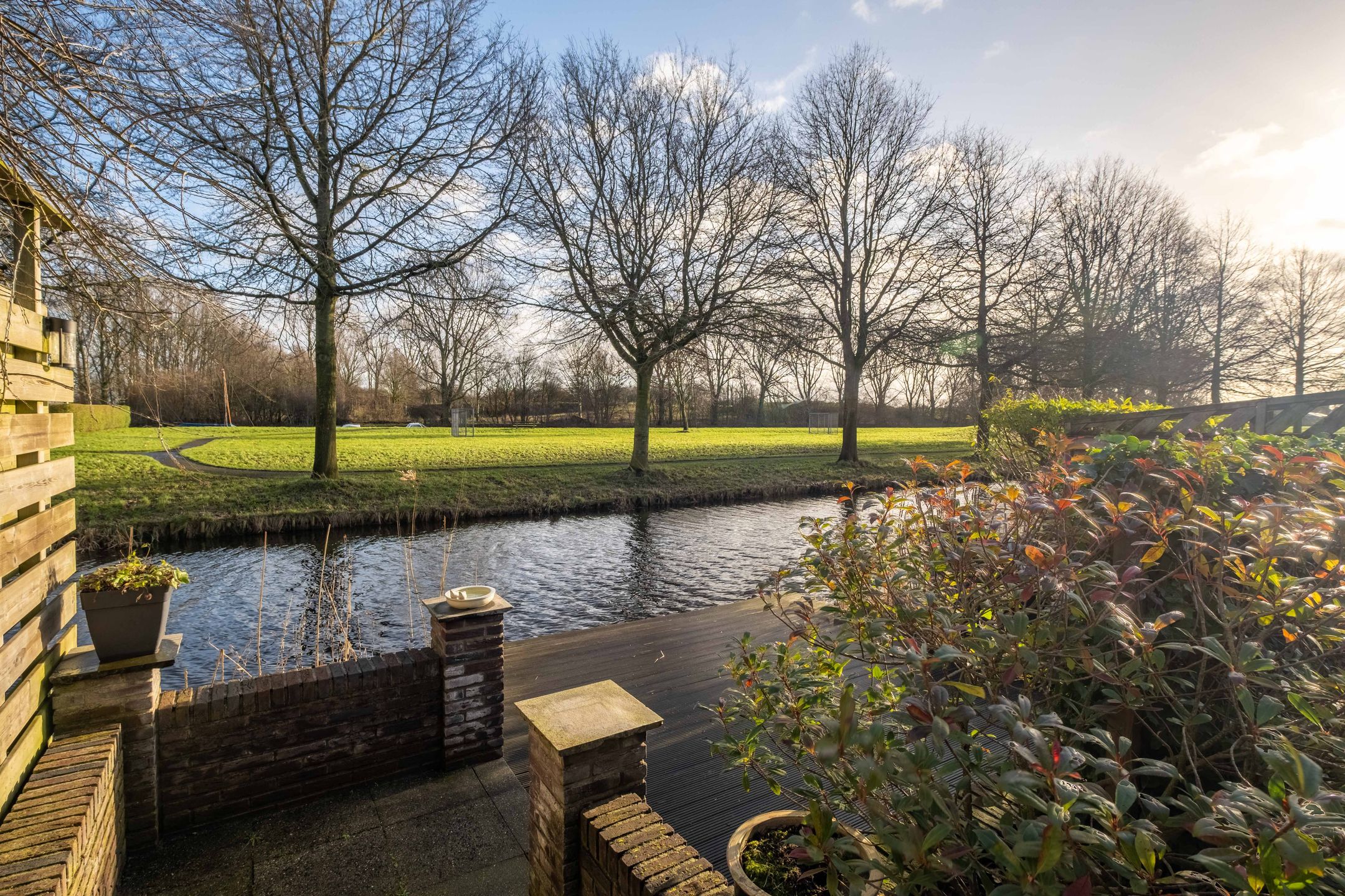 Foto 48 van Pinksterbloem 30