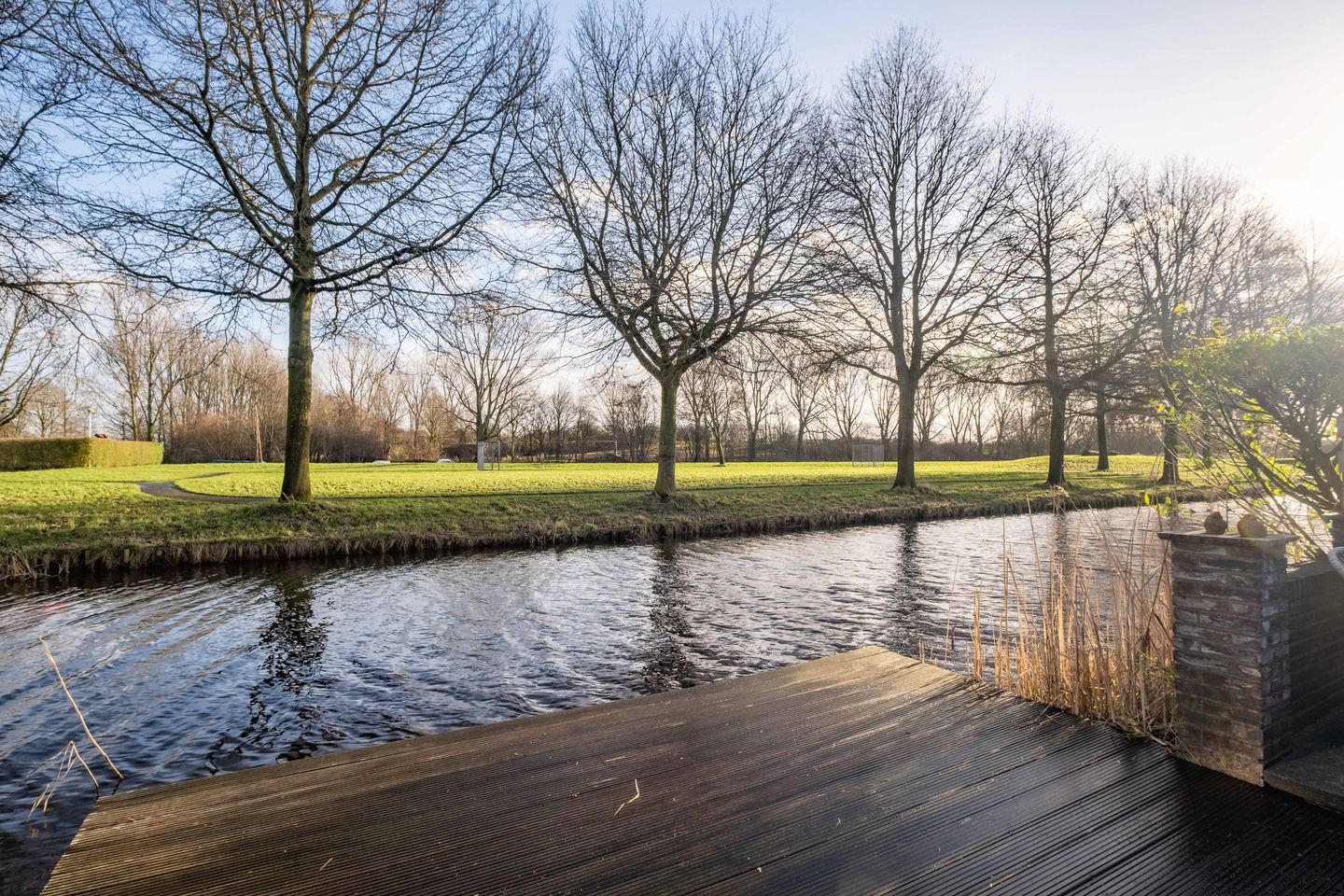 Foto 50 van Pinksterbloem 30