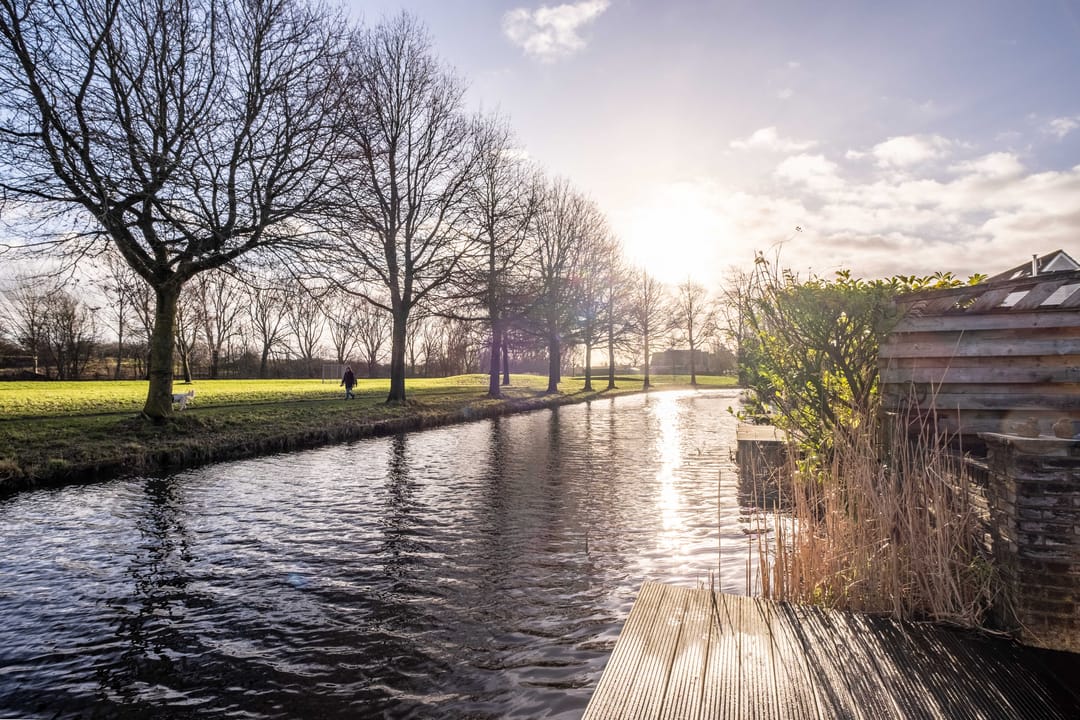 Foto 53 van Pinksterbloem 30