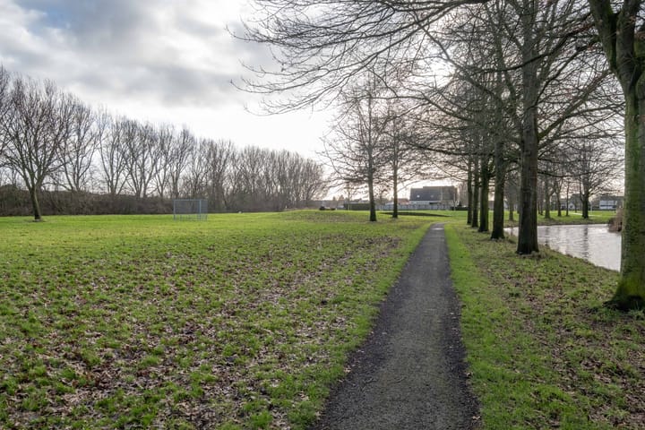 Foto 58 van Pinksterbloem 30